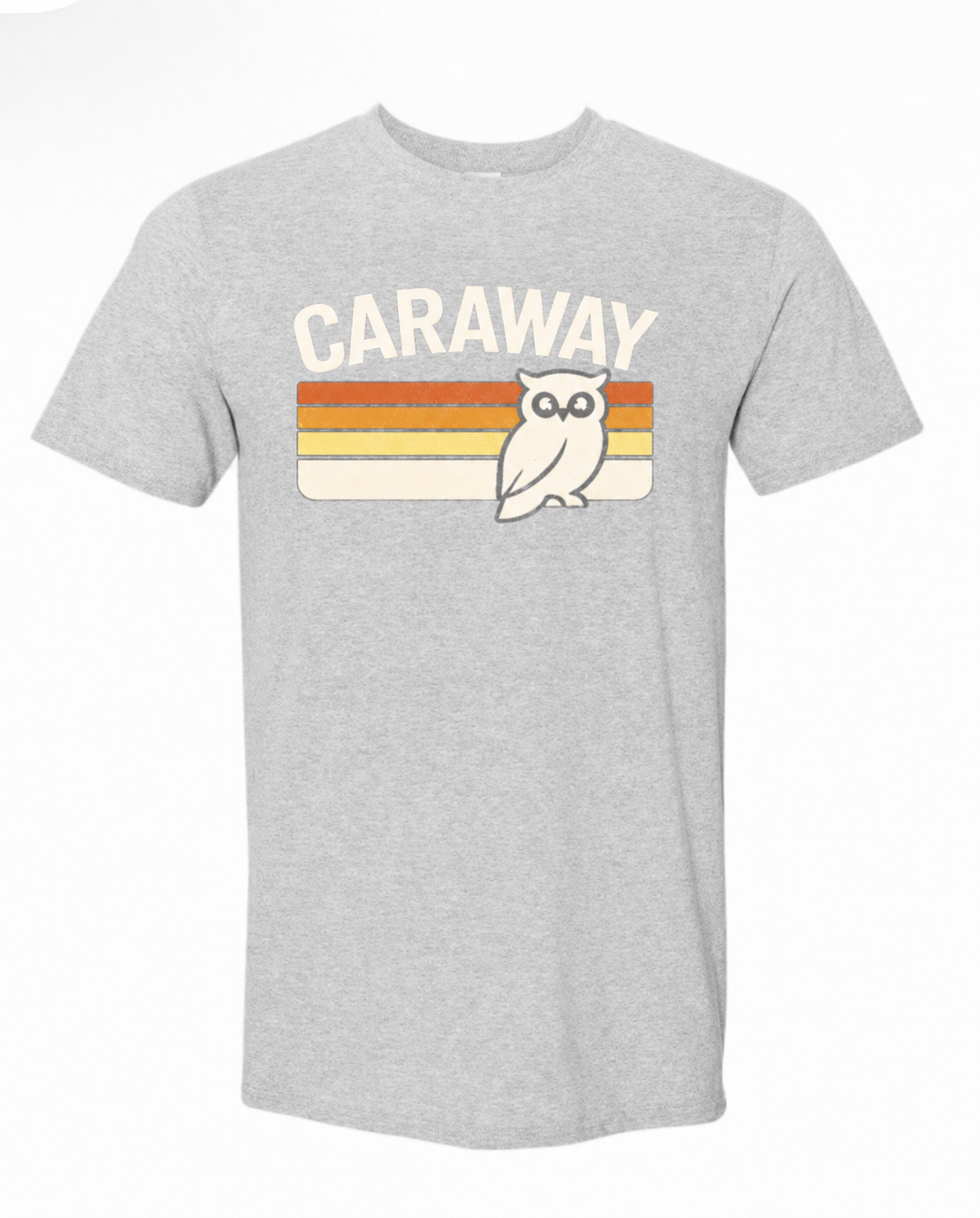 Caraway Owls - Colored Stripes Gray Shirt Adult